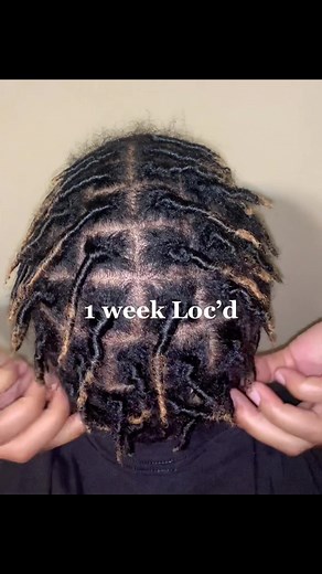 1 Week Loc Update Journey | Short Locs Style