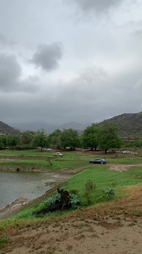 Scenic Lake Landscape Amidst Lush Greenery