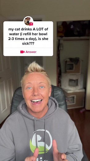 Cat Drinking Habits and Health: What You Need to Know