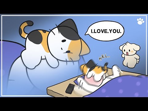 4 Reasons Why Cats Get In Your Face While You Sleep