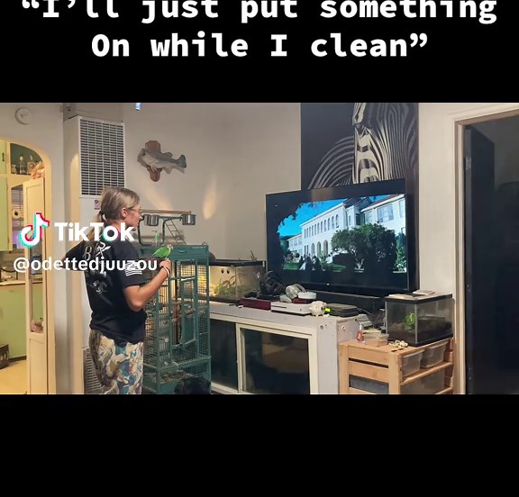 Transformers-Themed Fun with My Animals