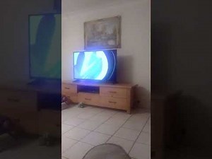 opening to the Simpsons movie 2007 Australian dvd