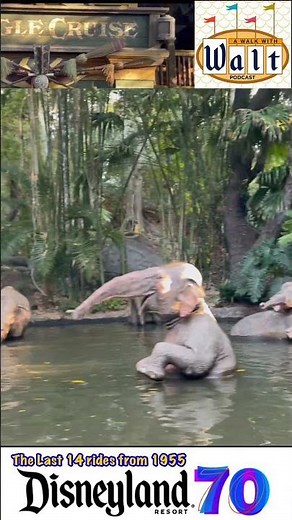 The final 14 rides from 1955 - the Jungle Cruise #disney #Disneyland