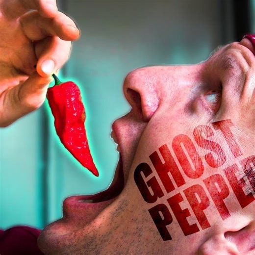 1.6M views · 27K reactions | Spicy Indian Food Challenge! Ghost Pepper Chutney in Delhi, India!  掠 | Best Ever Food Review Show | Facebook