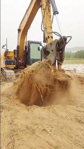 How Excavators Remove Tree Roots #shorts