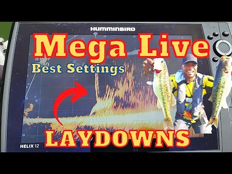 Mega Live scanning laydowns! Best Settings (MUST WATCH)