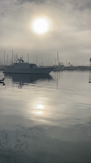 She’s beautiful 🥰🙏🏻 | Channel Islands Harbor