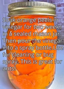 1M views · 35K shares | A keeper!!! Has anyone tried this?  Visit us: www.myincrediblerecipes.com via: https://www.pinterest.com/pin/166281411222325466/ | Recipes From Heaven | Facebook