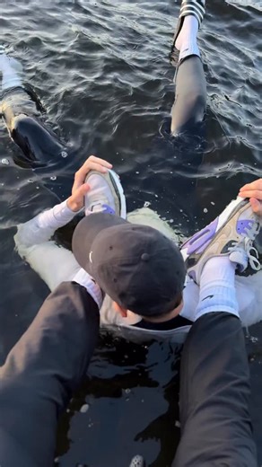 Dylan Walsh on Instagram: "Evening swim with the bf after training 💦🖤"