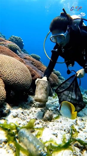 Cleaning a Coral Reef on the Ocean Floor… Didn’t Expect This View! 😳🌊#ocean #shorts #explore