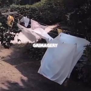 Halloween 1978 ‧ Horror/Thriller | 𝕸𝖊𝖉𝖎𝖆 𝕸𝖔𝖓𝖘𝖙𝖊𝖗