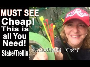 How To Tie Stake Trellis TOMATO Plants CHEAP & EASY This Method Changed my Life To Grow More