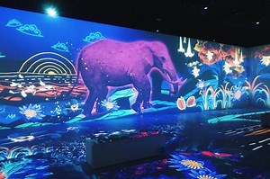 6 Museum di Jakarta yang Wajib Dikunjungi, Aesthetic buat Museum Date! - Sonora.id