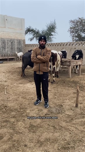 Understanding TikTok Earnings: Views and Revenue Explained