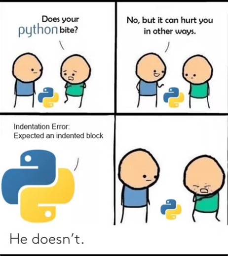 Python.hub on Instagram: "It hurts 😢... 📒| Python Ebook & 120 Python projects 📖| Python Handwritten Notes 📔| Short Notes 🔗|Link in bio.. Turn on the notification for new posts .. Follow @python_._hub for new posts... .. #python3 #python #programmingmemes #pythonprogramming #pythonlearning pythoncode programming programminglife java javaprogramming"