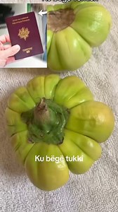 Alaho Akbar lii kuko deff tukki juni juni ✅ | Sett gou lere