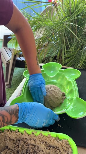 Stylish Turtle Planter Ideas for Your Garden