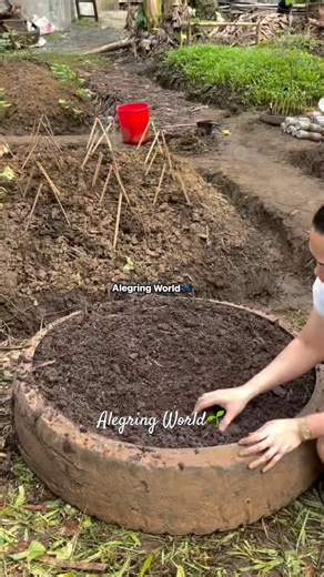 How to grow KANGKONG #fbreels #viralreels #viralvideo #kangkong #buhayprobinsya #viralreelschallenge
