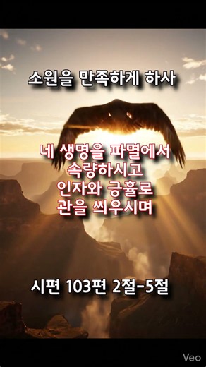 시편 103편 2절~5절 #성경요절, #말씀묵상, #오늘의말씀, #기독교 #개역개정