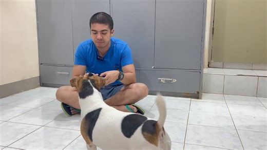 PAANO MAUTUSAN ANG ATING MGA ASO? 🐶(ADVANCED DOG TRICKS) | Milo & Friends