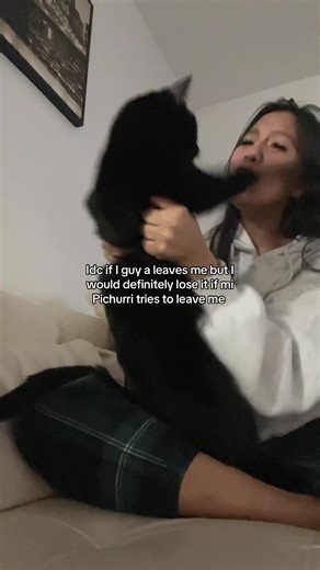 No cats were harmed | cat videos