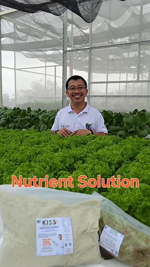 4K views · 65 reactions | What is KFF? KFF means Katanim Foliar...