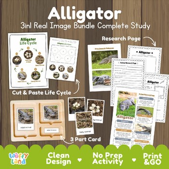 Alligator Life Cycle & Animal Research Bundle | Real Images Science Activity