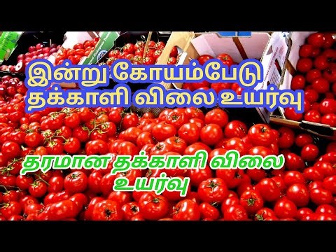 இன்று கோயம்பேடு காய்கறி சந்தை விலை நிலவரம் தமிழ் today koyambedu wholesale market price tamil