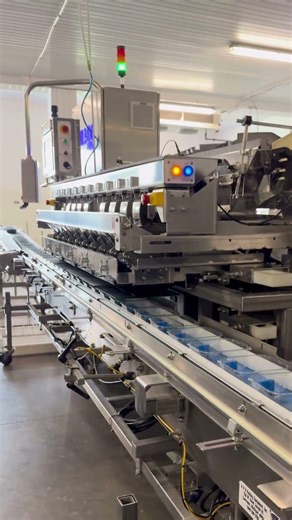 Blueberry packing line | Milbor PMC