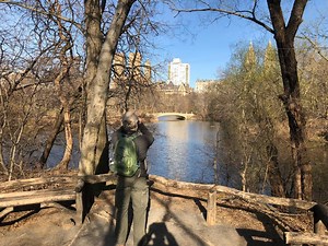 Spring Migration Is Making NYC A Birder's Paradise