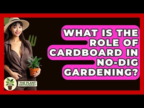 What Is The Role Of Cardboard In No-dig Gardening? - The Plant Enthusiast