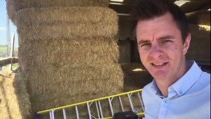 5.4K views · 32 reactions | BBC Springwatch is back! Let our reporter, Andy Howard take you behind the scenes: | BBC Bristol | Facebook