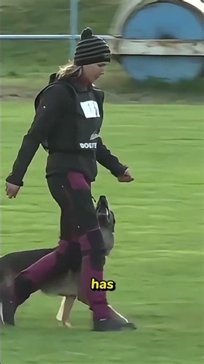 These Dogs Hit 70 km/h and Literally Can't Slow Down #lurecoursing #dogs #viral
