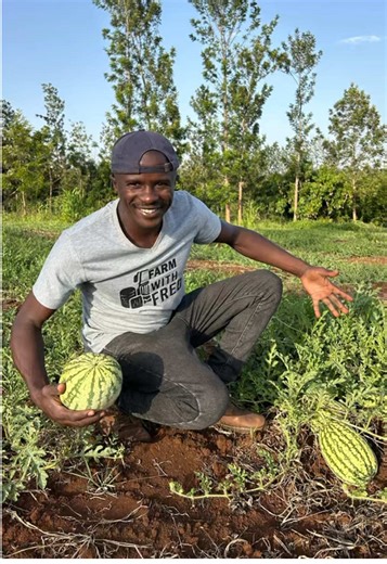 This Critical Stage in watermelon fruit development Decides Everything! Don't Let Your Watermelons Fail at the Finish Line . The period from fruit set to this stage is the most demanding and vulnerable phase in watermelon growing. It's at this stage your crop faces intense challenges,relentless pest attacks, skyrocketing nutrient requirements, and an insatiable demand for water. This is the make-or-break window for calcium uptake. Get it right early, and your fruits develop strong and healthy. M