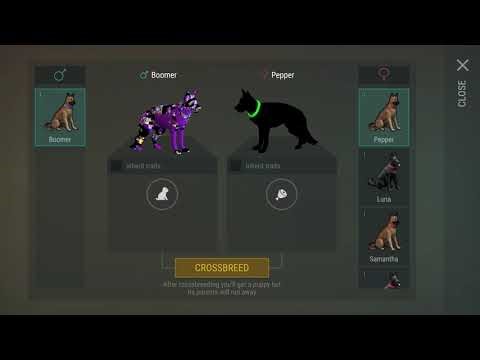 Last Day on Earth: Survival LDoE Raid Base Player 7779