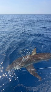 Fish on!!! | TooDirty Dom