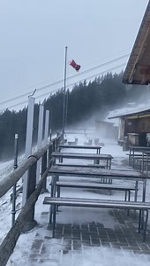 Blizzard conditions here in Switzerland this afternoon, snows a plenty. | Severe Weather Updates