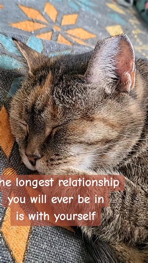 #inagoodplace #almost ! #daybyday #catsoftiktok #artic