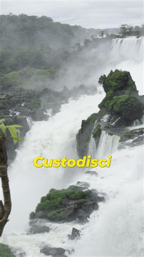 Iguazú: The memory of water. A thunder that knows no rest. More than a landscape, a sanctuary.