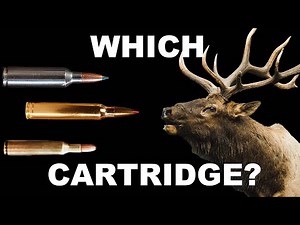 270 WSM, 300 Win, or 257 Roberts for Shooting Elk? - Season 2: Episode 270