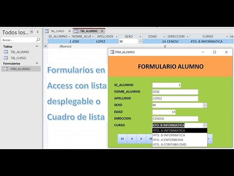 Como hacer un formulario en Access con lista desplegable