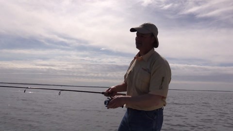 Drop Shot and Jigging Combo for Sea Bass and Scup