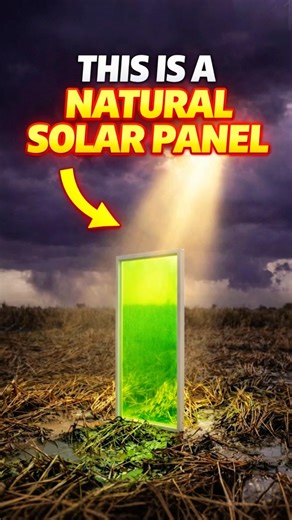 Best Solar Panel for Home 2026? 🏠 The Truth About Invisible Solar Panels vs Silicon