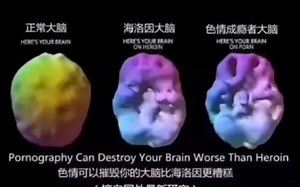 se情对大脑的影响，比海洛因更恐怖？