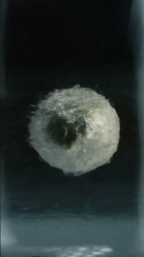 Reaction of Potassium with water #chemistry