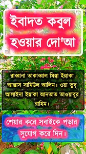 1.2M views · 14K reactions | The history of #photography began with...