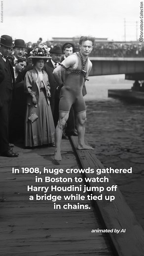 Houdini jumped off a bridge | Sunday Roast