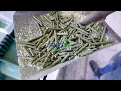 Grass Pellet Machine Test Running In RICHI Machinery
