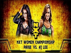 WWE '13: Paige vs AJ Lee- Ladder Match