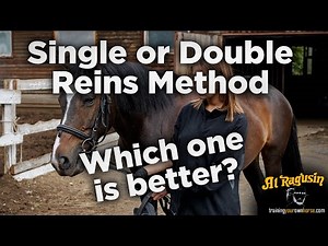 Comparing the single and double reins method